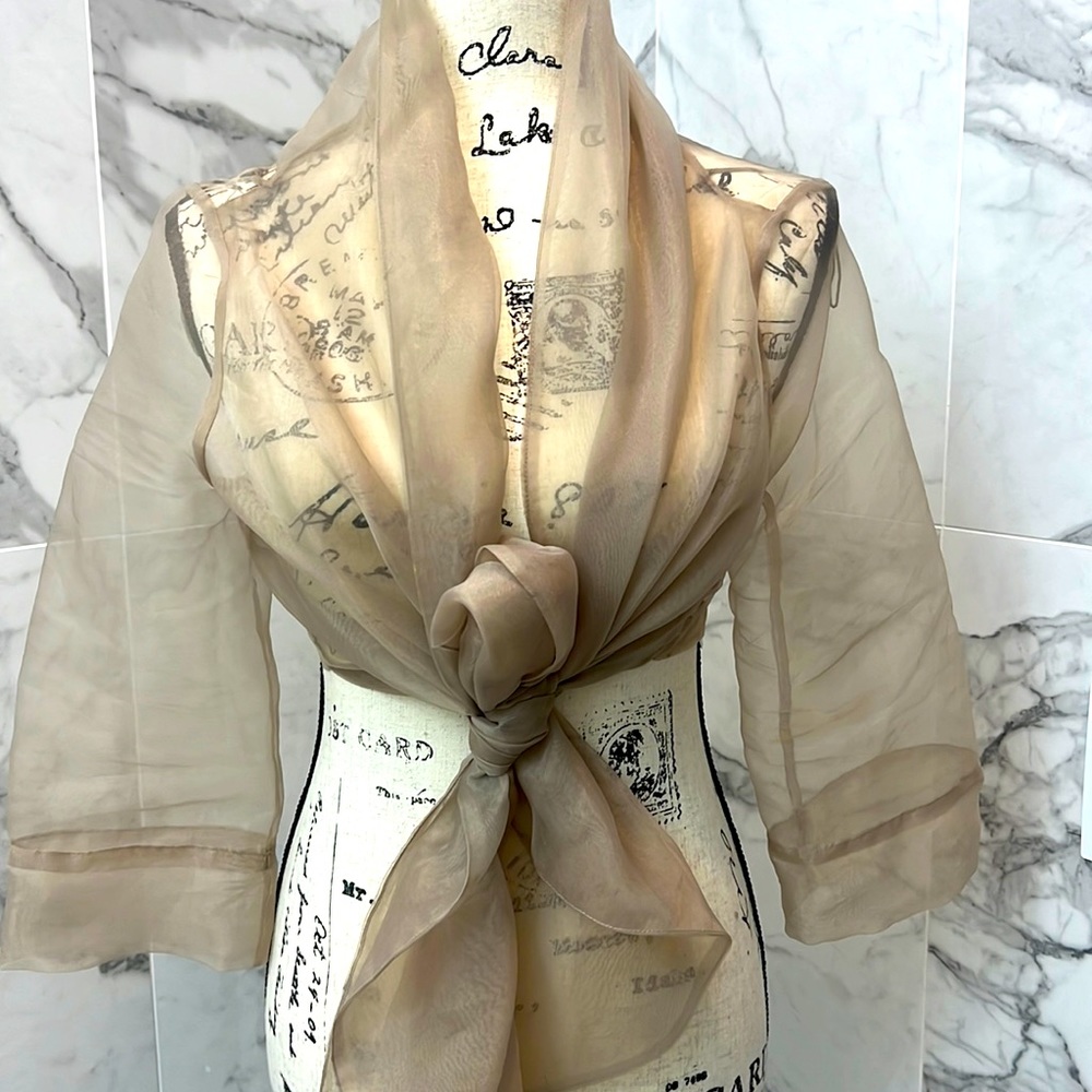 Adriana Papell sheer tie top